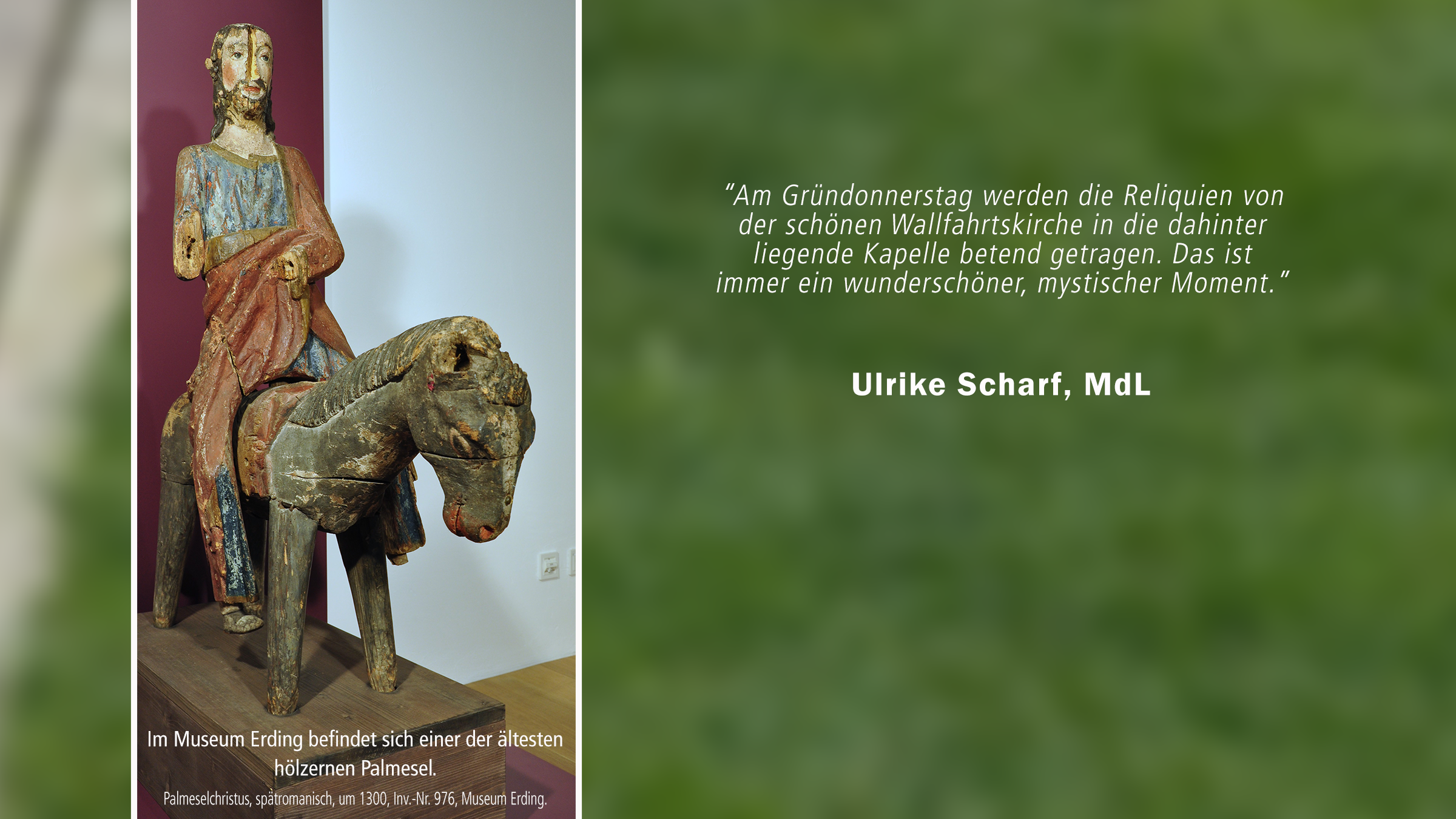 Ulrike Scharf, MdL