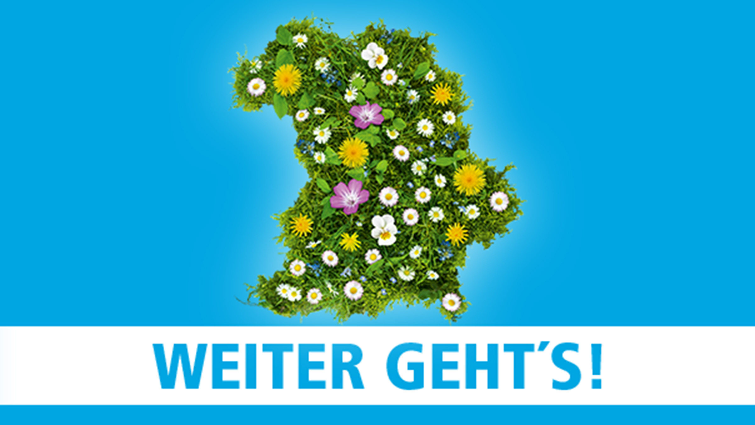 Bild zum Beitrag "Weiter geht´s!"