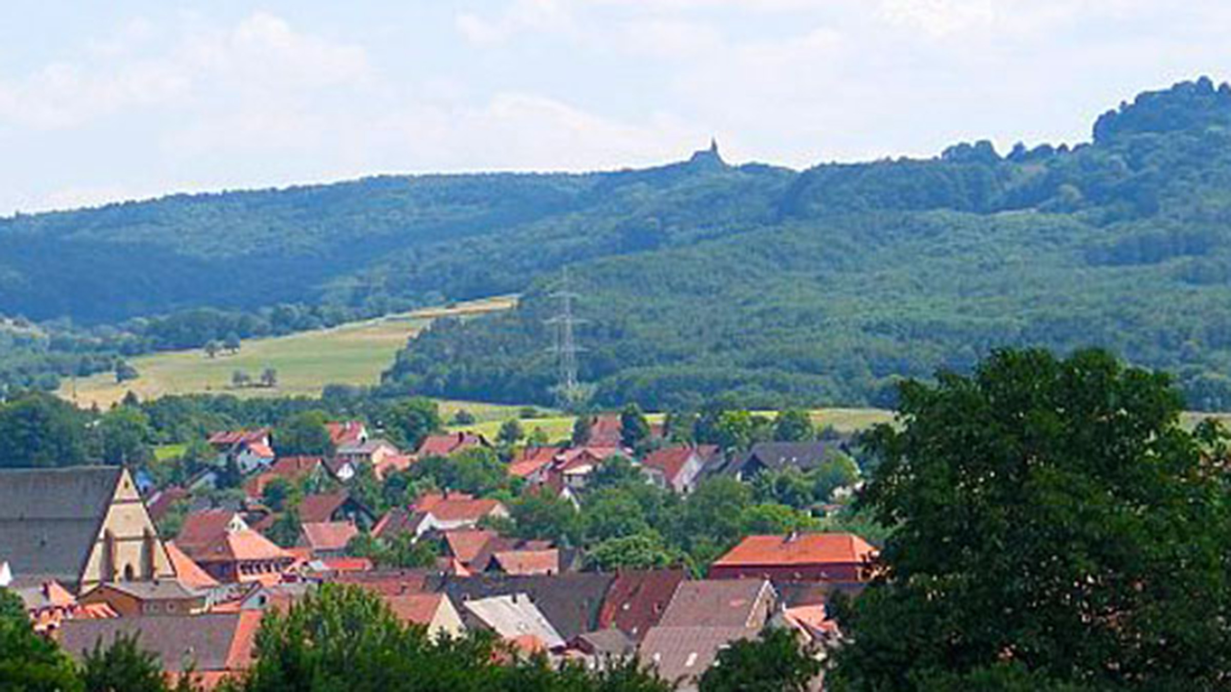 Wald vor meiner Haustüre