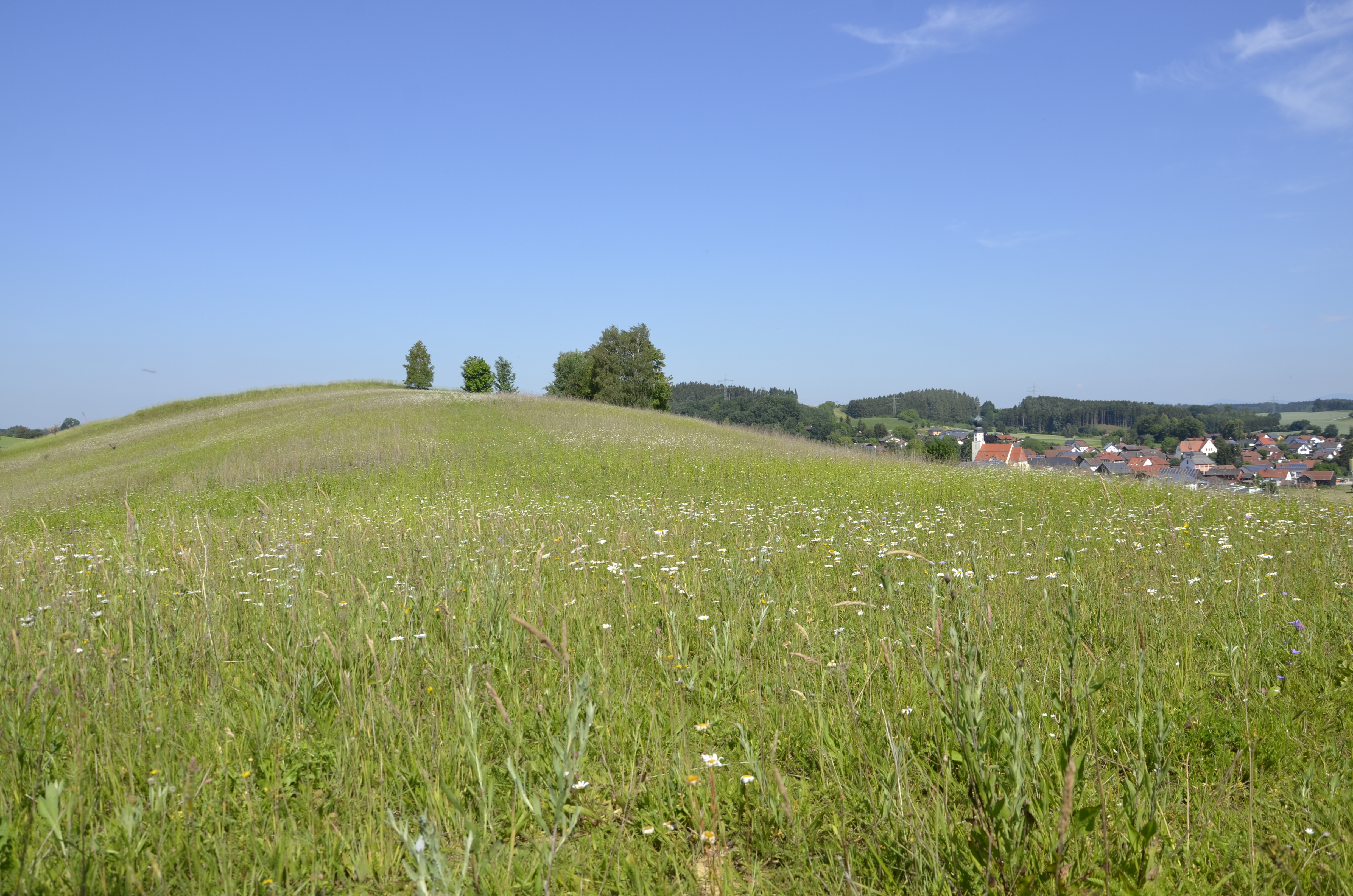 Bild zum Beitrag "Die Natur immer im Blick"