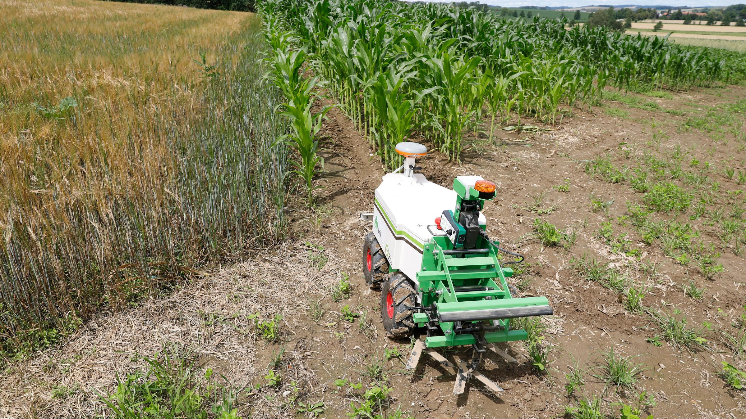 Bild zum Beitrag "Die Landwirtschaft der Zukunft"