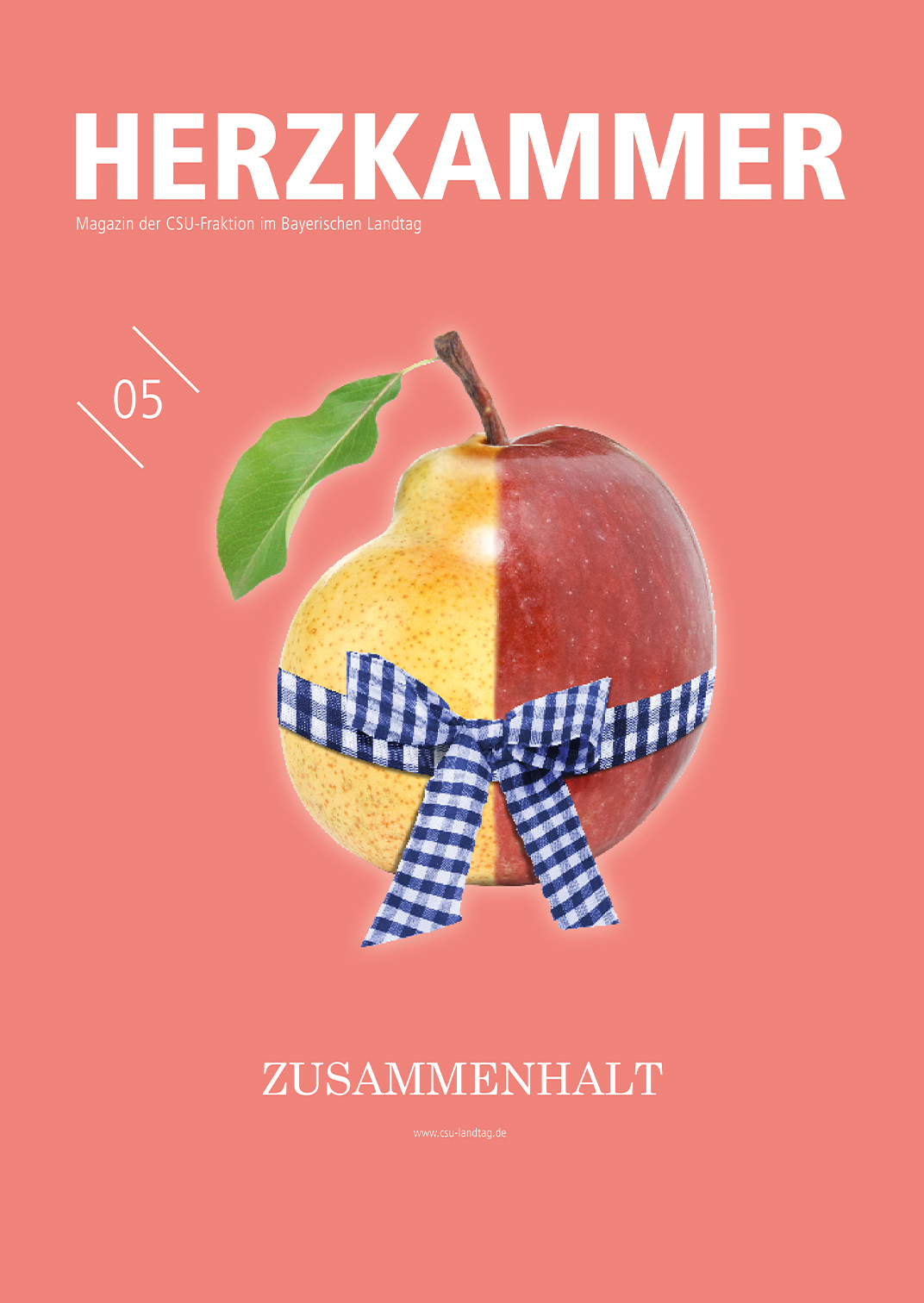 5. Ausgabe der Herzkammer zum Thema Zusammenhalt - Eine gelbe Birne und ein roter Apfel sind mit je einer Hälfte miteinander verschmolzen und sind mit einem Band umwickelt.